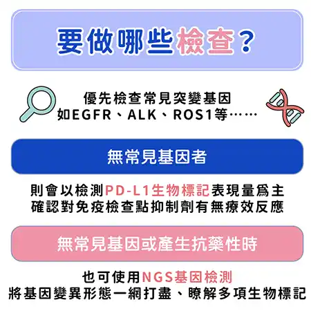 肺癌懶人包資訊圖 info003