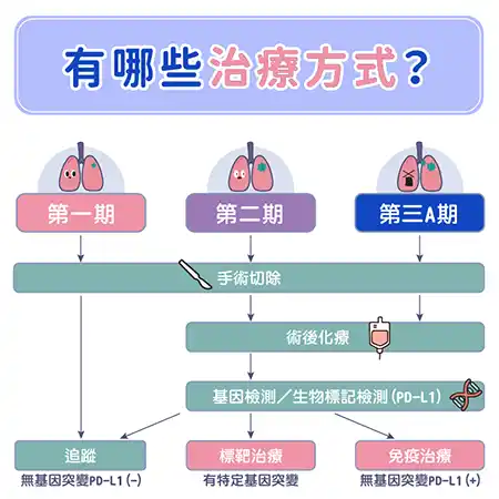 肺癌懶人包資訊圖 info004